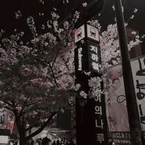 Meet your Posher, Jane